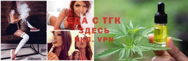 СК Медногорск
