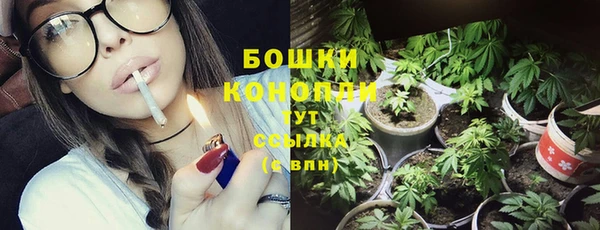 молекула духа Михайлов