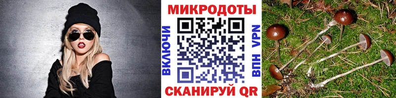 hydra ONION  Касимов  Псилоцибиновые грибы прущие грибы 
