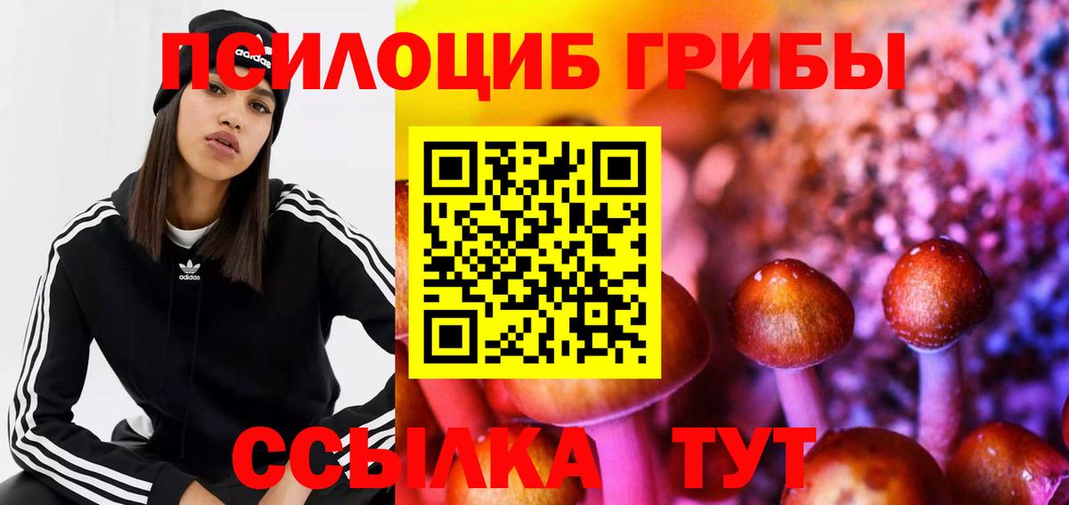 Псилоцибиновые грибы MAGIC MUSHROOMS  Галлюциногенные грибы GOLDEN TEACHER  Касимов  Вход с VPN 